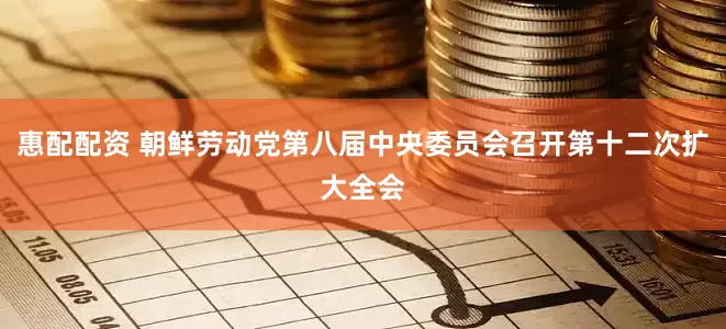 惠配配资 朝鲜劳动党第八届中央委员会召开第十二次扩大全会